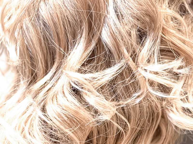 Repair & Damage Recovery